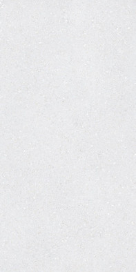 Керамогранит Sassy White Rec 60x120 Tau Ceramica матовый универсальная плитка 11769-0003