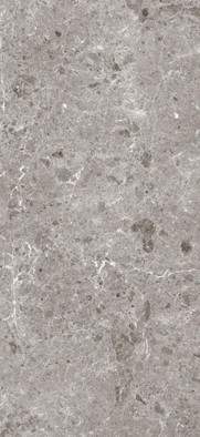 Керамогранит Artic Gris Pul.120x260 5,6 Grespania Ceramica S.A. полированный, универсальный 36471 фото Керамогранит Artic Gris Pul.120x260 5,6 Grespania Ceramica S.A. полированный, универсальный 36471