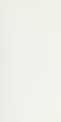 Керамогранит Black and White White High-Gloss 60x120 Ret (755569) Floor Gres полированный универсальный