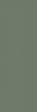 Настенная плитка Nightwish Green Paradyz Ceramika 25x75 матовая керамическая 5902610518065