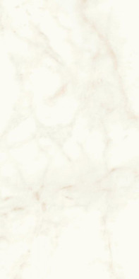 Керамогранит Marvel Calacatta Delicato 60x120 Matt универсальный матовый
