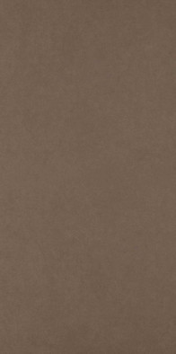 Керамогранит Intero Brown Rekt. Mat. 59,8x119,8 Paradyz Ceramika матовый универсальный 5900139087659