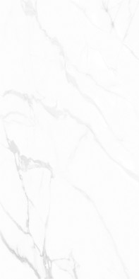 Керамогранит GT1206015903PDR Andrea_GT Белый 60x120 Global Tile полированный универсальная плитка