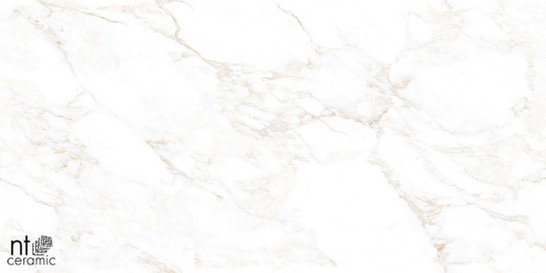 Керамогранит Marble Extra Endless mat 60х120 NT Ceramic Marmo матовый универсальная плитка NTT99526M фото Керамогранит Marble Extra Endless mat 60х120 NT Ceramic Marmo матовый универсальная плитка NTT99526M