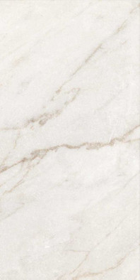 Керамогранит 0005106 Calacatta Oro 60х119,5 универсальный матовый