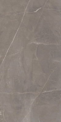 Керамогранит Brenzo Gris Glossy 60x120 Varmora полированный универсальный фото Керамогранит Brenzo Gris Glossy 60x120 Varmora полированный универсальный