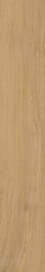 Керамогранит Forest Marbella 20x120 Matt Staro матовый напольная плитка УТ-00001345