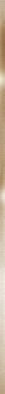 Бордюр BWM91MET808 Metallic Glossy Gold 12х900х7 Almaceramica Металлические бордюры глянцевый керамический фото Бордюр BWM91MET808 Metallic Glossy Gold 12х900х7 Almaceramica Металлические бордюры глянцевый керамический