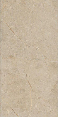 Керамогранит Camel Glossy 60x120 Art and Natura Ceramica глянцевый универсальный 11111S1111 фото Керамогранит Camel Glossy 60x120 Art and Natura Ceramica глянцевый универсальный 11111S1111