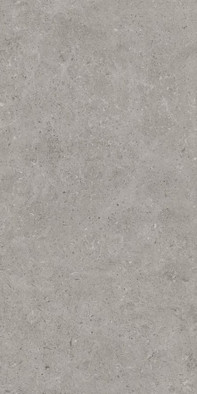 Настенная плитка Beren Greige Ductile Soft 60x120 Living Ceramics матовая керамическая LV10087