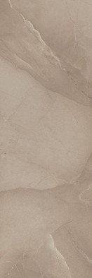 Настенная плитка Passion R90 Taupe керамическая