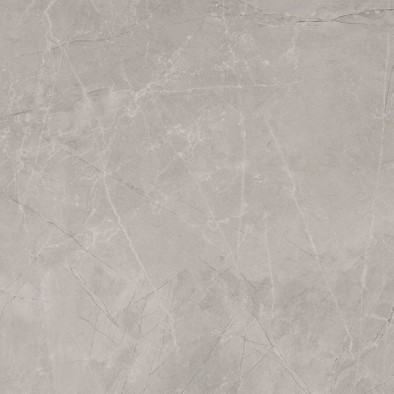 Керамогранит Silver Pulido 120x120 универсальный фото Керамогранит Silver Pulido 120x120 универсальный