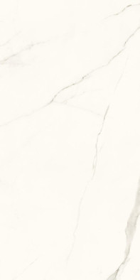 Керамогранит Calacatta Gres Szkl. Rekt. Mat. 59.8x119.8 Paradyz Ceramika матовый универсальная плитка R-R-0,6X1,2-1-CALA.--N-3