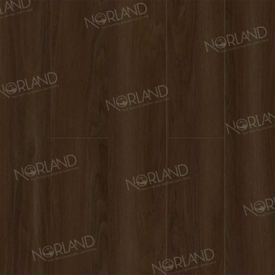 Ламинат Norland Elegant Strong LF302-22 Дуб Треско 1220х198х12 12 мм 34 класс с фаской фото Ламинат Norland Elegant Strong LF302-22 Дуб Треско 1220х198х12 12 мм 34 класс с фаской