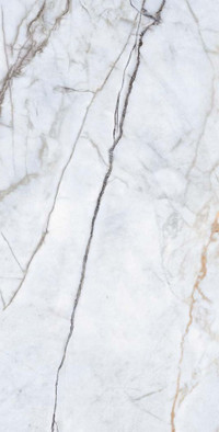 Керамогранит Elepo Gold 60х120 Prissmacer carving, матовый универсальная плитка 78901621