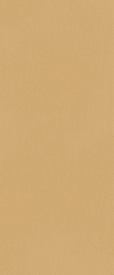 Настенная плитка fTDS True Color Caramel 50x120 RT Pamesa матовая керамическая УТ-00050443