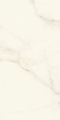 Керамогранит Marvel Calacatta Apuano 60x120 Matt Atlas Concorde Italy матовый универсальный AFWI