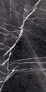 Керамогранит GR203 Fedele Negro Primavera 60x120 супер полированный (high glossy) универсальный