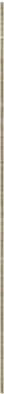 Бордюр Listello Gold Glitter 0,5x56/ Голд Глиттер 0,5x56 глянцевый керамический фото Бордюр Listello Gold Glitter 0,5x56/ Голд Глиттер 0,5x56 глянцевый керамический