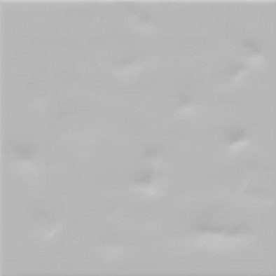 Настенная плитка Paola Gris-B 20x20 глянцевая керамическая фото Настенная плитка Paola Gris-B 20x20 глянцевая керамическая