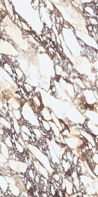 Керамогранит Calacatta Viola Lucidato BookMatch лицо A 12+ 162х324 Laminam I Naturali Marmi полированный универсальная плитка LAMFFM0268