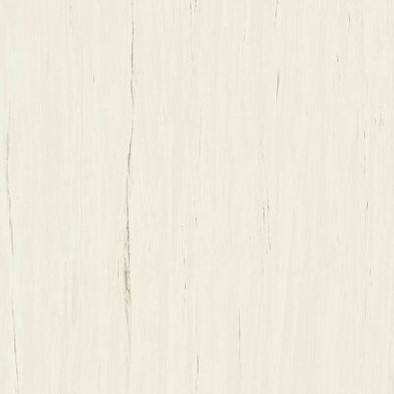 Керамогранит Marvel Bianco Dolomite 120x120 (A204) матовый