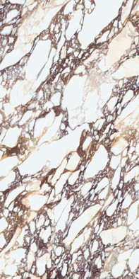 Керамогранит Calacatta Viola Lucidato BookMatch лицо B 12+ 162х324 Laminam I Naturali Marmi полированный универсальная плитка LAMFFM0269