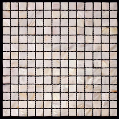 Мозаика SMA-02-20 305x305 20x20 ракушка