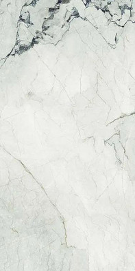 Керамогранит AE CAM6 278 LPM 120x278 La Faenza Monoceram Aesthetica сатинированный универсальный n162912