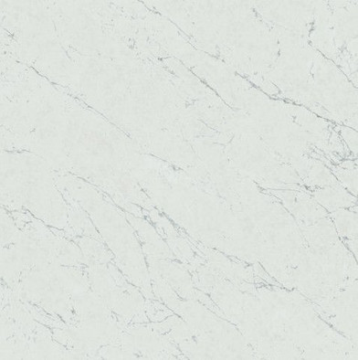 Керамогранит Marvel Carrara Pure 120x120 (A207) матовый фото Керамогранит Marvel Carrara Pure 120x120 (A207) матовый