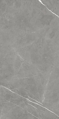 Керамогранит Forte dei Marmi Elegant Grey Rett 60x120 Atlas Concorde матовый универсальная плитка 610010003173