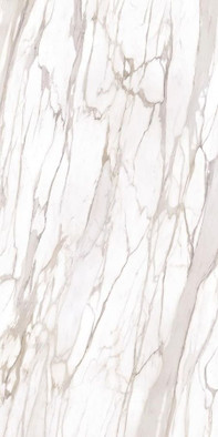Керамогранит Calacatta Gold Canova Lappato Emil Ceramica 60х120 лаппатированный (полуполированный) универсальный E0E6
