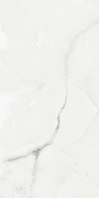 Керамогранит Royal Grey Light Absolut Gres 60х120 полированный универсальный