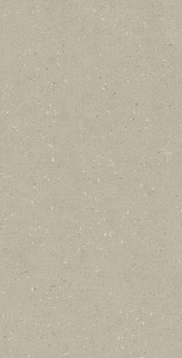 Настенная плитка XS Kenzo Sand 60x120 Argenta матовая керамическая 80135