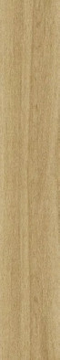 Керамогранит Islandia Arce Rec 20x120 New Tiles матовый напольная плитка 80983