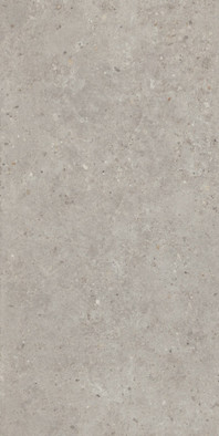 Керамогранит SG519920R Риккарди Серый Светлый матовый обрезной 60х119,5x0,9 Kerama Marazzi универсальная плитка