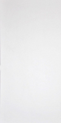 Керамогранит G-100/MR/300x600x9 Grasaro матовый универсальный