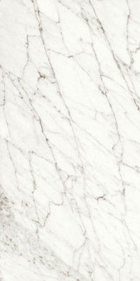 Керамогранит White Fun Levigato+Rettificato 60x120 универсальный полированный