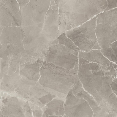 Керамогранит Elegant Greige Lux 60x60 Rt Supergres полированный универсальный 60EG фото Керамогранит Elegant Greige Lux 60x60 Rt Supergres полированный универсальный 60EG