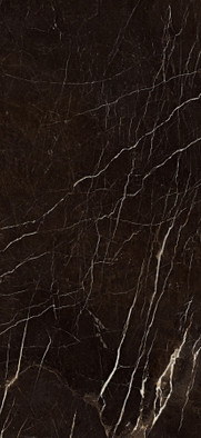Керамогранит SC.VN.DB.GL 2600х1200х6.5 Arch Skin Stone Nero Marquina полированный универсальный фото Керамогранит SC.VN.DB.GL 2600х1200х6.5 Arch Skin Stone Nero Marquina полированный универсальный