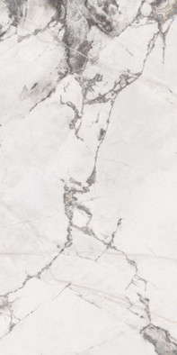 Керамогранит Invisible Pearl ABK 60x120 люкс универсальный 0004204 (PF60004204)