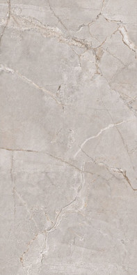 Керамогранит Ariana Bone Sugar Carving it 60х120 Gresant универсальная плитка ITL84049