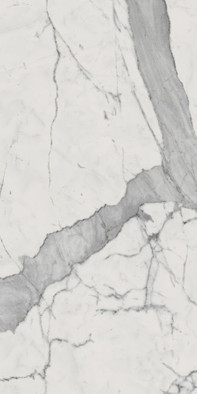 Керамогранит Шарм Эво Статуарио / Charme Evo Statuario 44х88 фото Керамогранит Шарм Эво Статуарио / Charme Evo Statuario 44х88