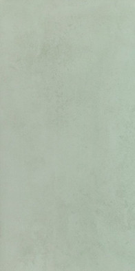 Настенная плитка W- mint-29,8x59,8 матовая керамическая