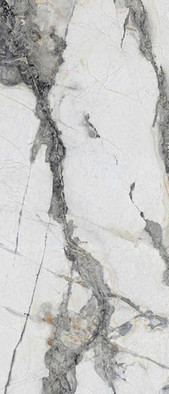 Керамогранит N20416 Titanium Renoir Polished 120x278 Neodom полированный универсальная плитка 98049